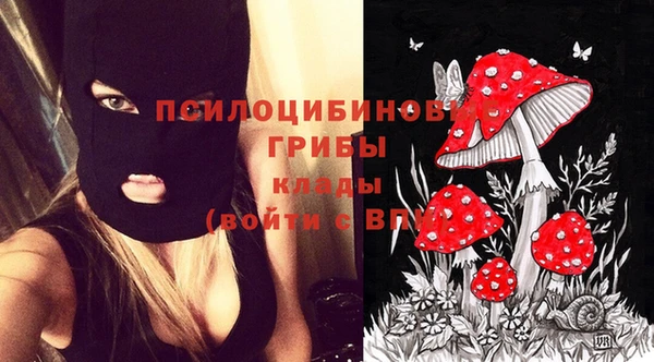 герыч Невьянск